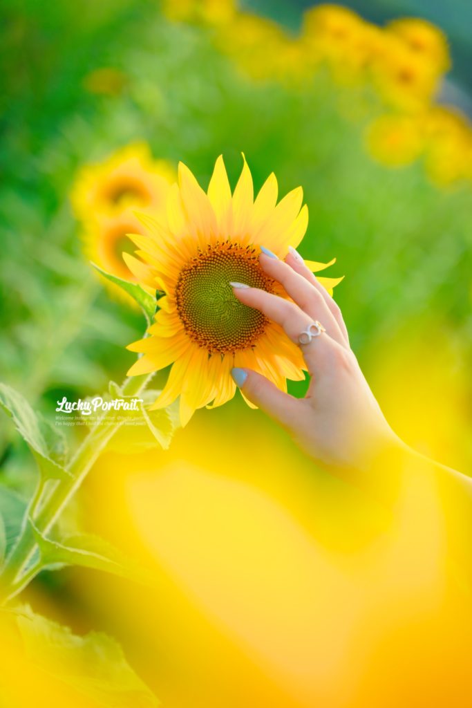 松山市ポートレート撮影