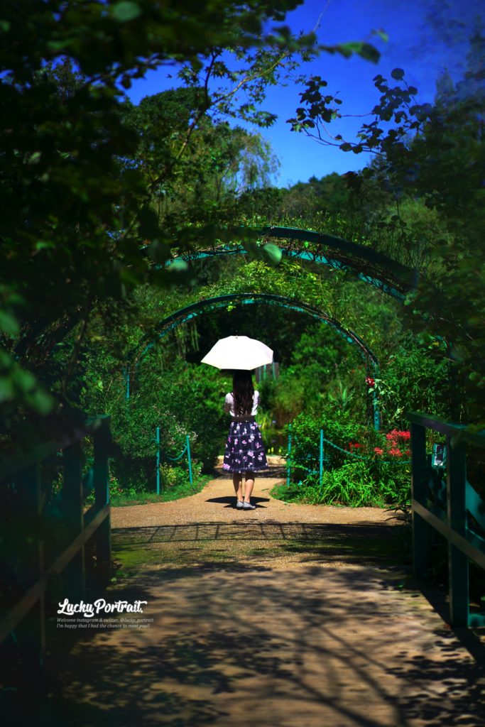 松山市ポートレート撮影