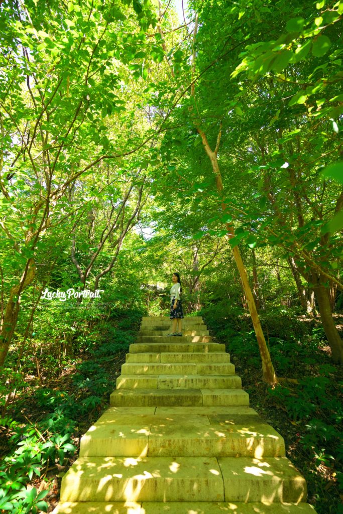 松山市ポートレート撮影